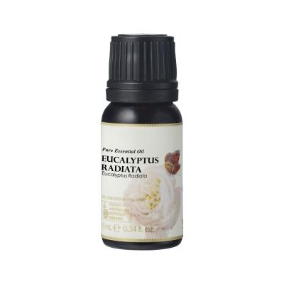 Ausganica Organic Essential Oil Eucalyptus Radiata 10ml